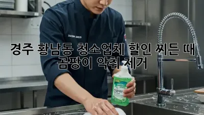 경주 황남동 청소업체 할인: 찌든 때, 곰팡이, 악취 제거!