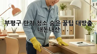 부평구 단기 청소🧹, 숨은 꿀팁🍯 대방출! (내돈내산)